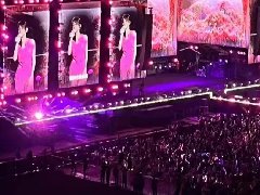 <b>領(lǐng)威保安圓滿完成“厚道荊門”明星演唱會(huì)安保</b>